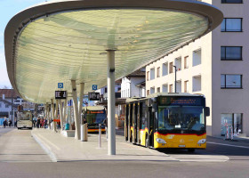 01 IMG 0446 Headfoto